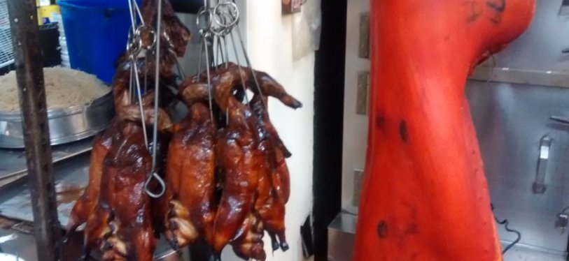 What Exactly Does a Registered Sanitarian&nbsp;Do?