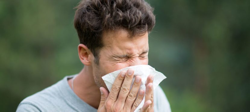 Take the Coronavirus&nbsp;Quiz