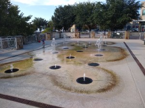 algae growth on splash pad