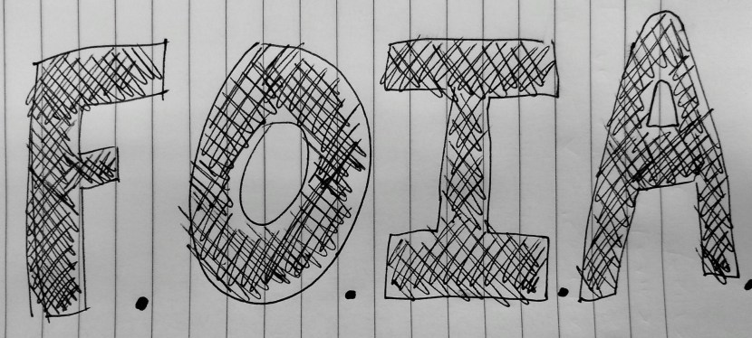 The Importance of the Freedom of Information Act&nbsp;(FOIA)